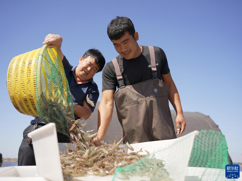 捕鱼大作战官方正版下载